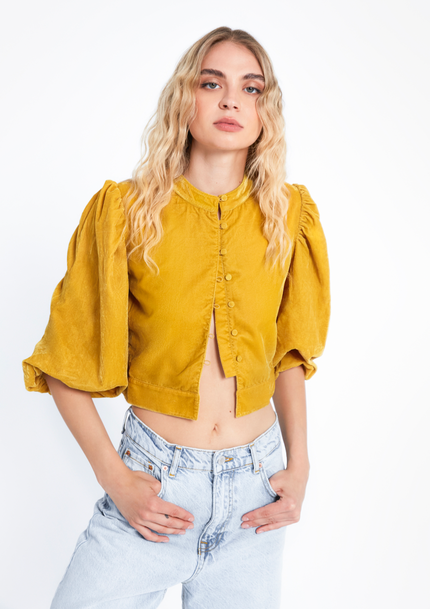 CARDI VELVET DIJON MAIA BERGMAN